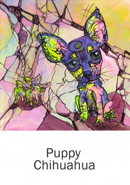 aRtyDoG Puppy Chihuahua, Peanut, Pays-Bas.
Acrylique sur toile 50x50cm