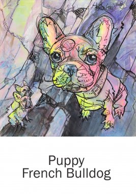 aRtyDoG Puppy Bulldog Français, Beppe, Italie.
Acrylique sur toile 50x50cm