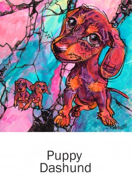 aRtyDoG Puppy Teckel, Maximus, France
Acrylique sur toile 40x40cm