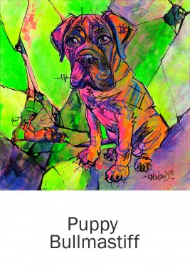 aRtyDoG Puppy, Bullmastiff, Sirius, Belgique
Acrylique sur toile 50x50cm