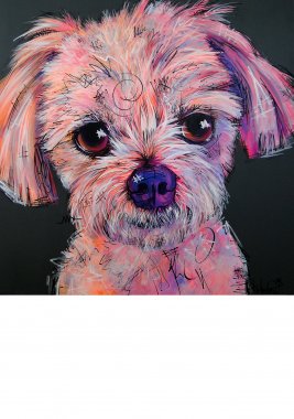 Bichon, 80x80cm