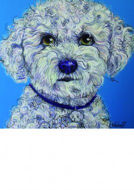 Bichon, 80x80cm