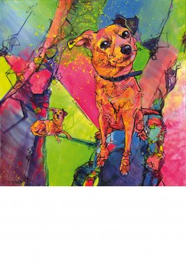 aRtyDoG Mia, Jack Russell mix, Belgique.
Acrylique sur toile 70x70cm