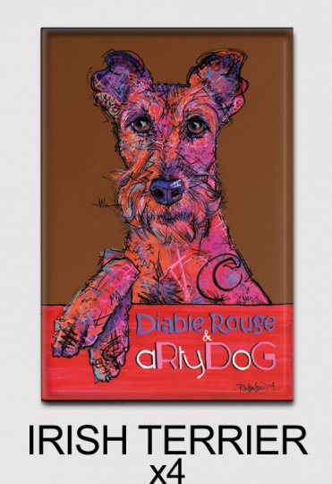 4x magnets rectangulaires identiques - aRtyDoG Potter - Irish Terrier