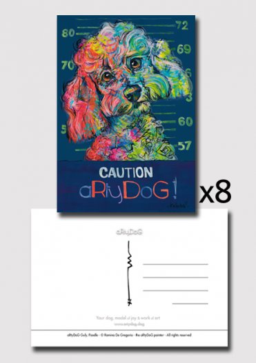 8x cartes postales identiques - aRtyDoG Guly - Caniche