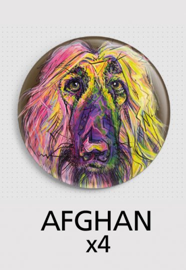 4x identical round magnets - aRtyDoG Ollie - Afghan Hound